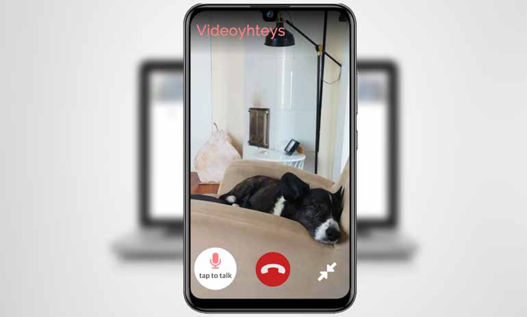 Screenshot-kuva videopuhelusta koirallesi