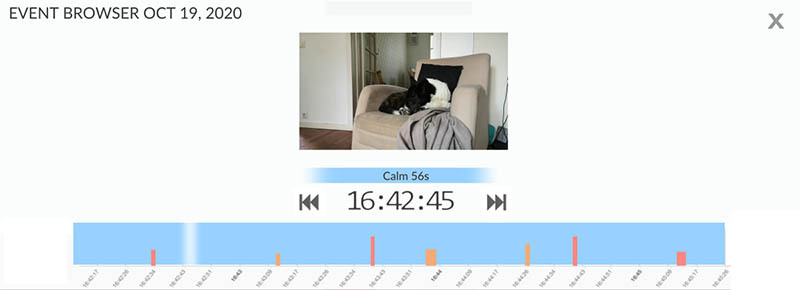 Viewing events with Digital Dogsitterillä